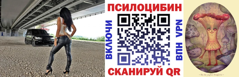 Купить  Апшеронск  Галлюциногенные грибы Cubensis 